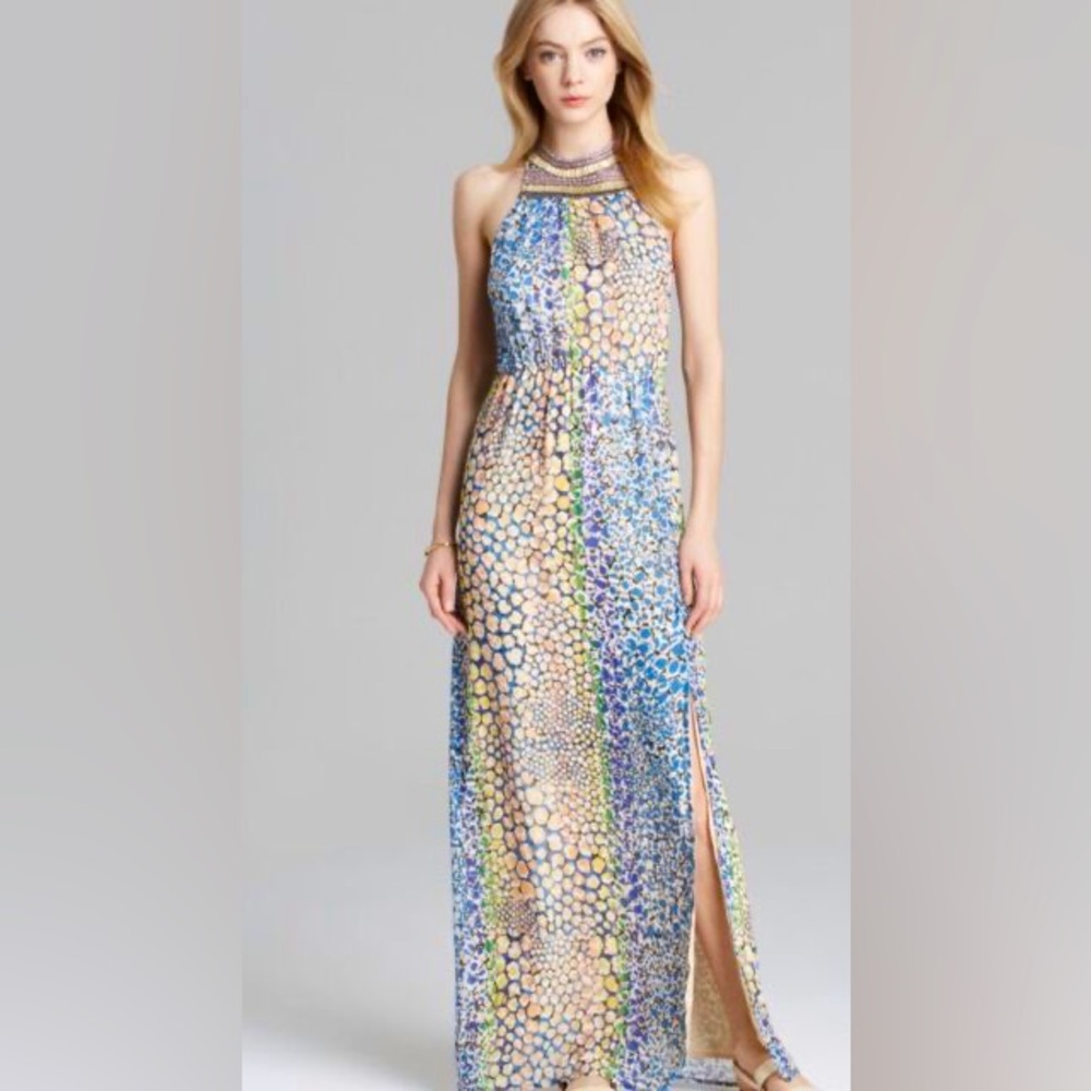 Anthropologie HD in Paris Maxi Dress Size 14